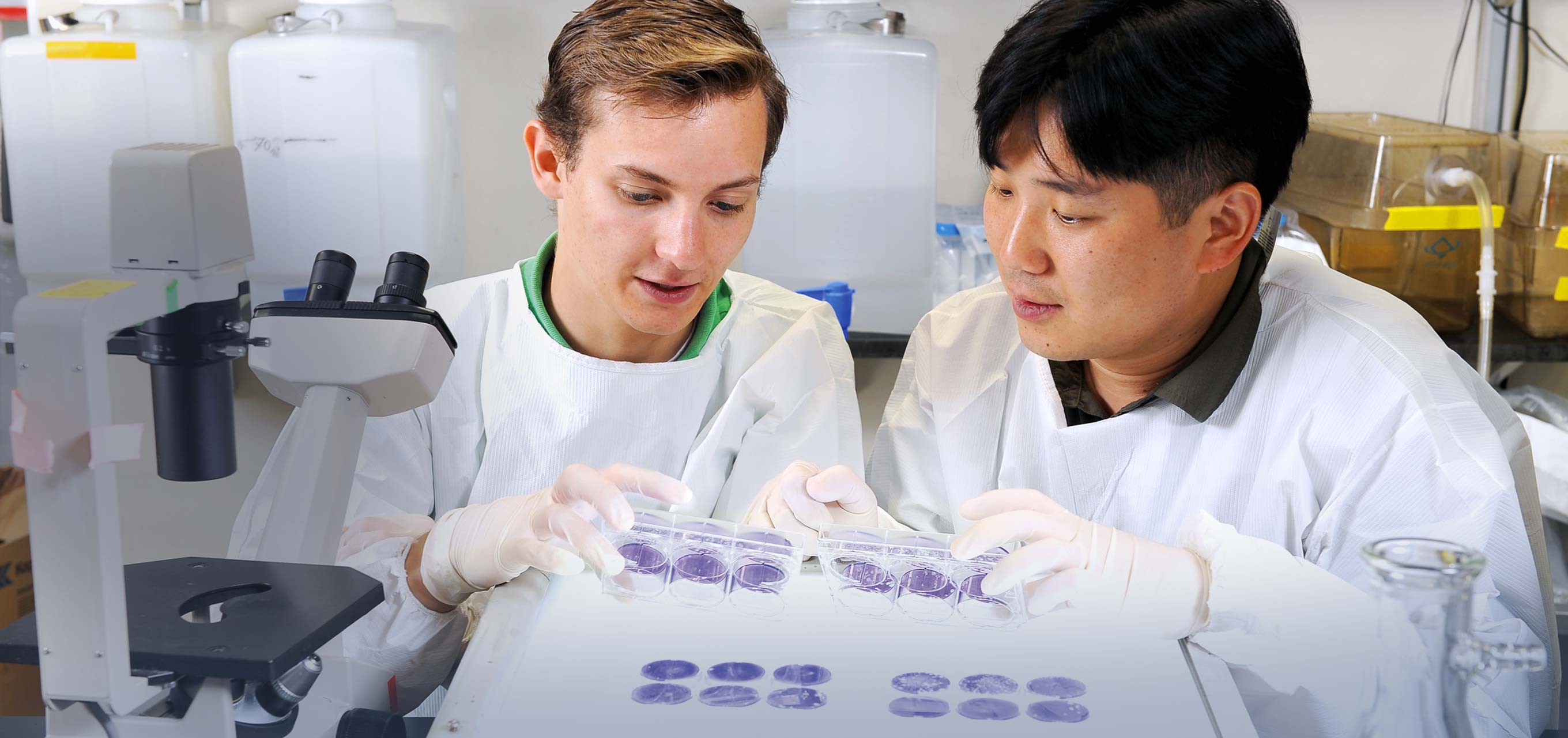 More than 750 Amgen Scholars are engaged in science-based careers